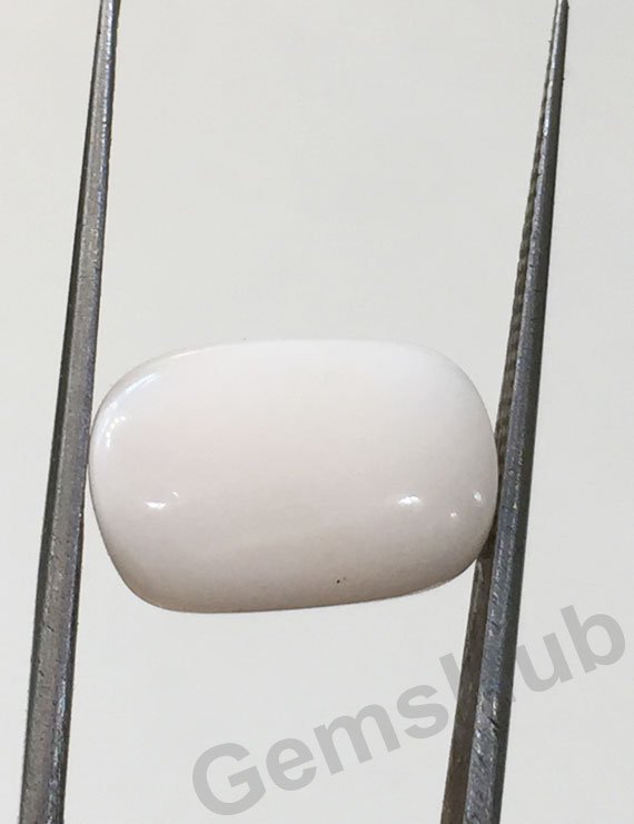 7.50 ratti/6.75 ct Natural Certified  White Coral/सफ़ेद मूंगा